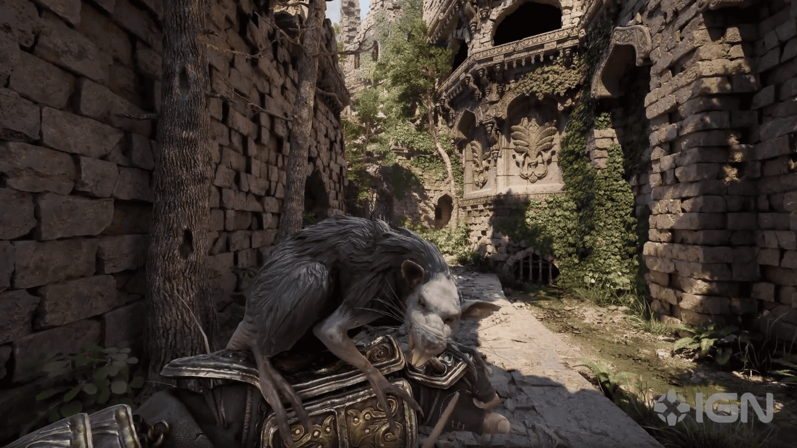 Fatekeeper - загадочная крыса