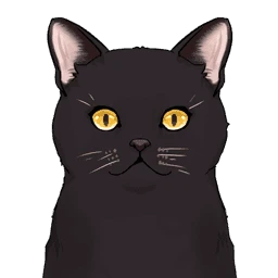 Чёрная кошка