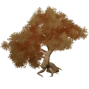 Красный клён Тяньхэн «Пылающая листва»