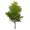 «Тёплый светоч»