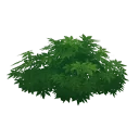 Зелёный пейзаж