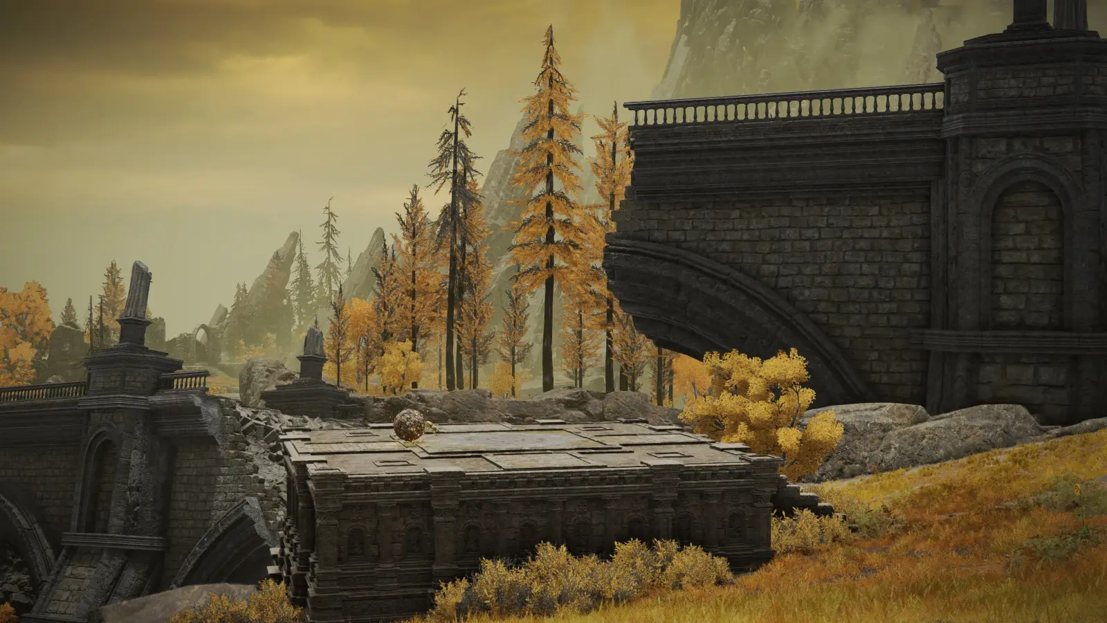 Скарабей на дороге к Мосту беззакония (Road to Bridge of Iniquity)