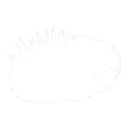 Иконка слота компаньона (Companion)