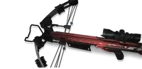 Compound Bow