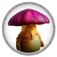 Growshroom