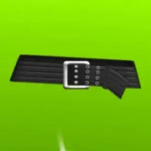 Ремень с серебряной пряжкой (Belt With Silver Buckle)