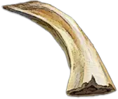 Кабаний клык