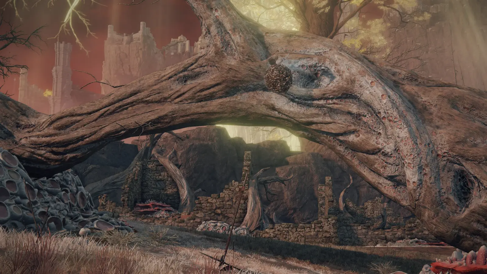 Скарабей Покинутых руин (Forsaken Ruins)