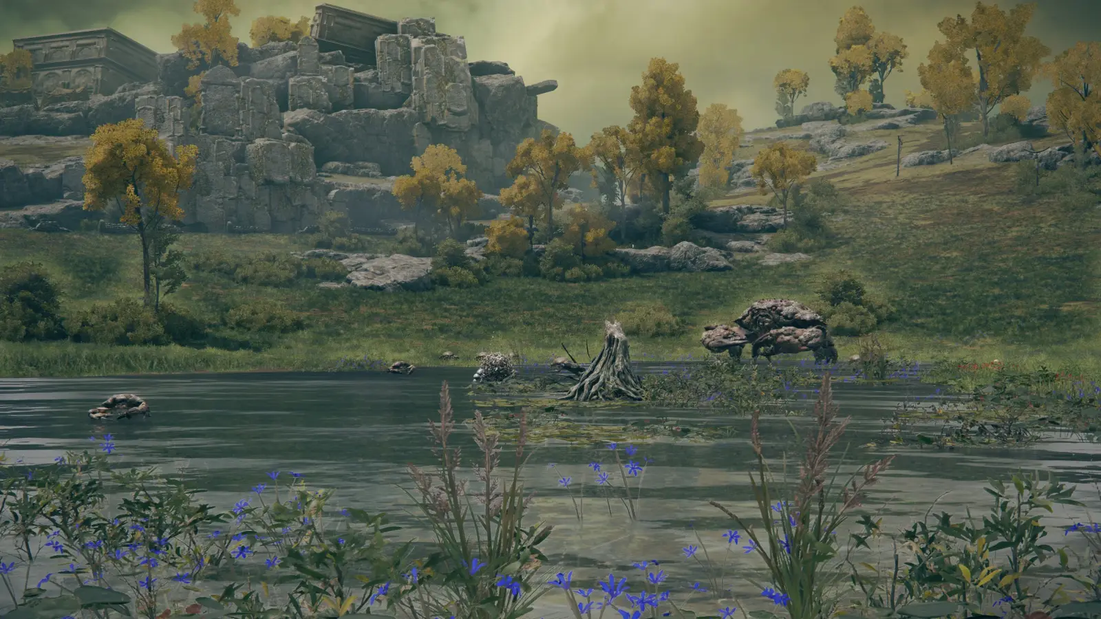 Скарабей на юге озера Агил (Agheel Lake South)
