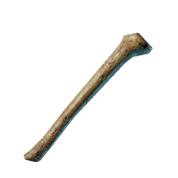 Bones