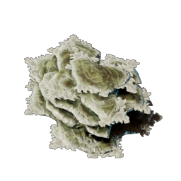 Brittle Shroud Flakes