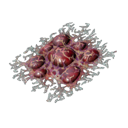 Corrosive Blood