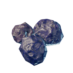 Dried Purple Berry