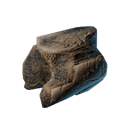Fossilized Bone