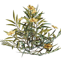 Kindlewastes Flower