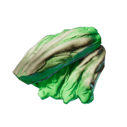 Mint Mushroom Meat
