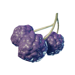 Purple Berries