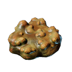 Shroud Mushroom