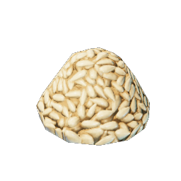 Wheat Grains